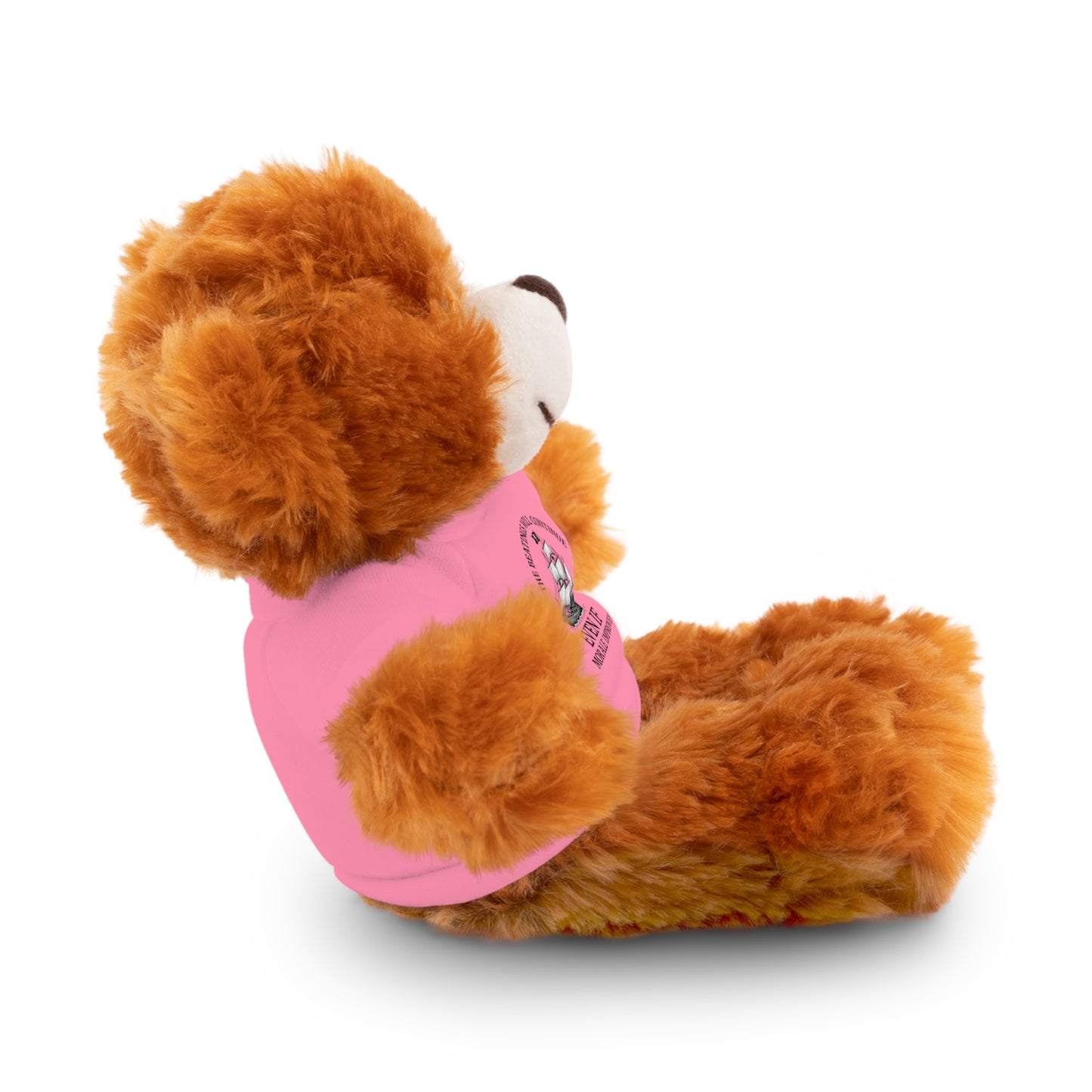 Inspirational Stuffed Animal with Tee - Perfect Gift for Encouragement & Comfort